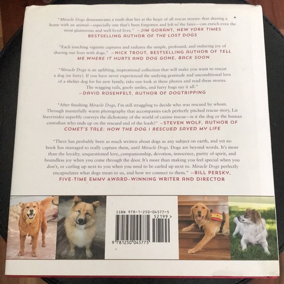 Miracle Dogs Rescue Stories - Picture 2 of 4